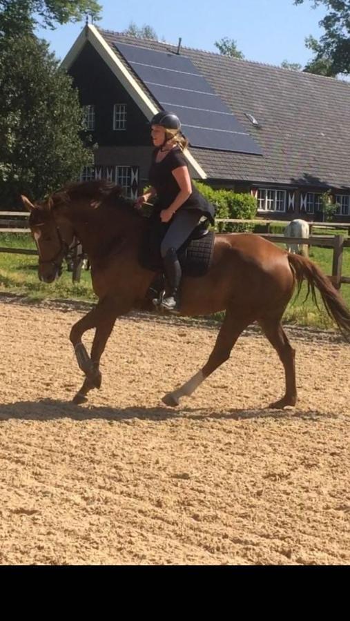 Erve Het Roolvink Boerderijkamers Enschede Buitenkant foto