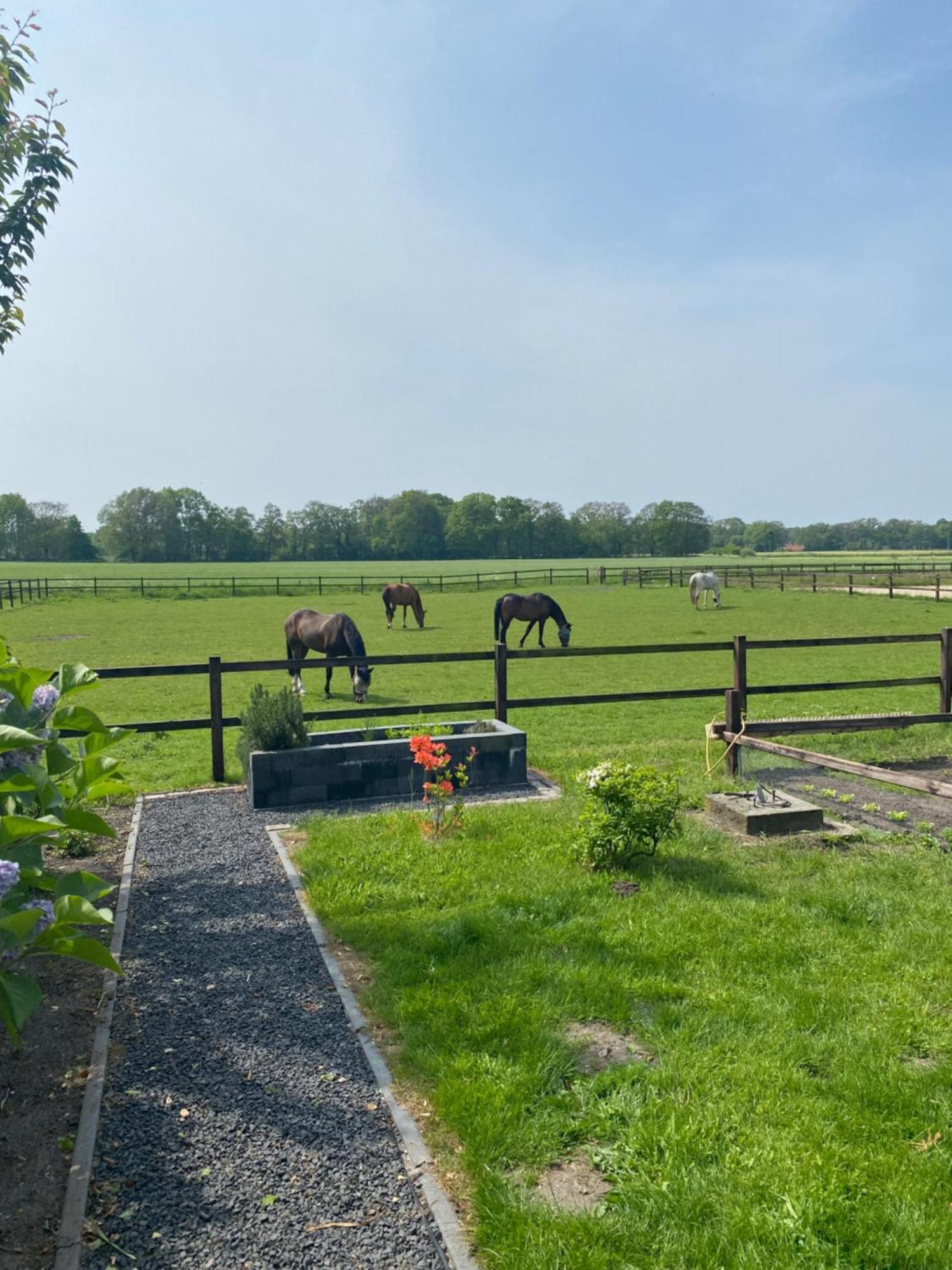 Erve Het Roolvink Boerderijkamers Enschede Buitenkant foto